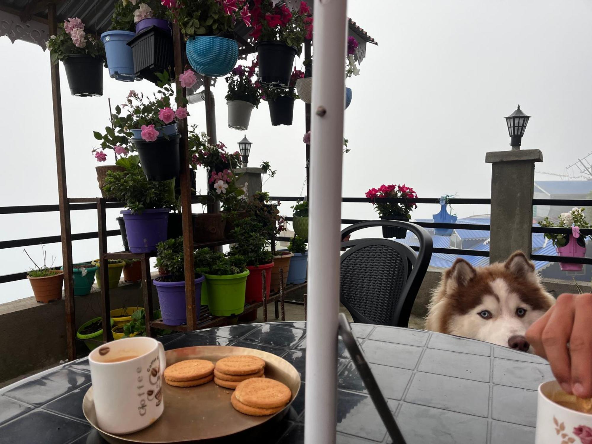 Shalom Inn Home Stay Darjeeling  Exterior foto